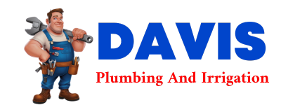 Trusted plumber in DUPLESSIS